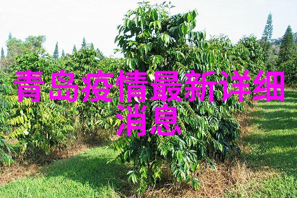 昆士兰大学澳洲名校之选出国留学的理想之地