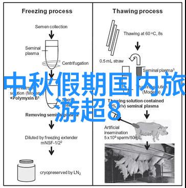 南京古迹探秘行