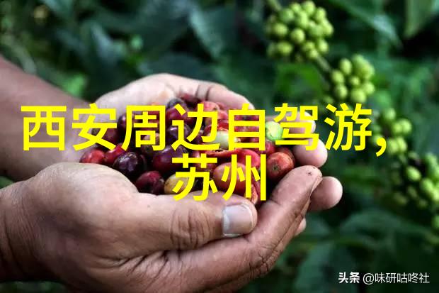 南国情怀探秘三亚这10个绝美景点