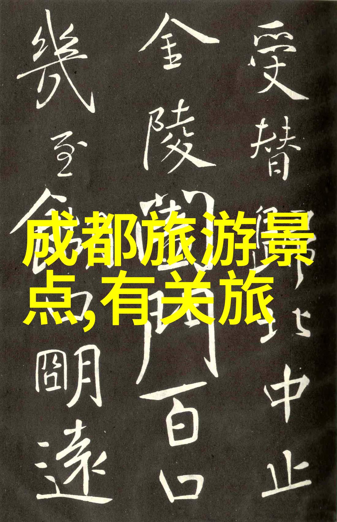 骑自行车有哪些好处-健康骑行自由翱翔探索自行车运动的多重益处