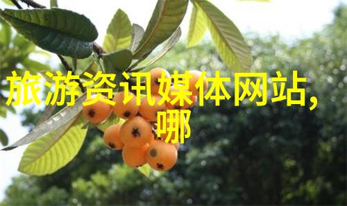 丽江束河古镇-探索束河的时光寻觅丽江古镇的魅力