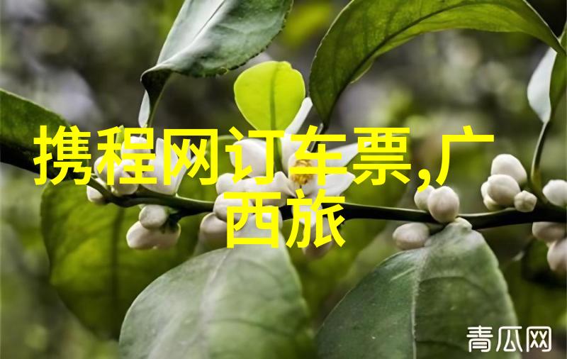 冒险还是悠闲一次完美的三日游该怎么安排才能让每个人都开心呢