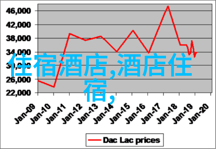 福州冬季的翅膀之旅寻找拍鸟的秘密角落编织关于游记作文的温暖故事