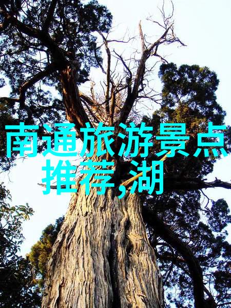 东山岛探秘指南揭秘岛上隐藏角落与非凡风光