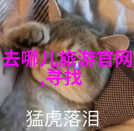 探索四川美妙旅程揭秘大熊猫故乡的秘密角落