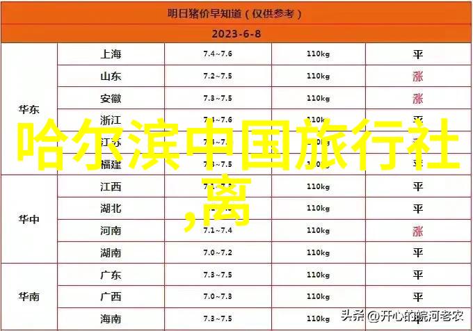 社交互动对比是否有必要考虑团队活动时选择何种运动