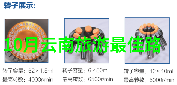 青岛游玩作文在人迹罕至的角落里等待着你的发现吗