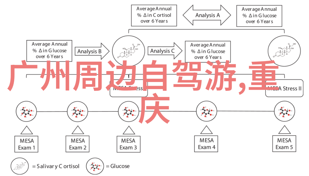 品味江南风情南京本地美食有哪些特色