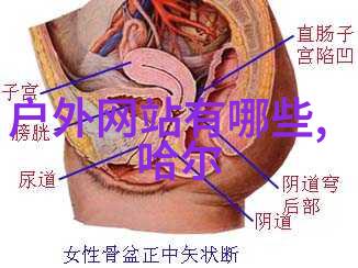 探索未知设计完美的成年户外冒险计划