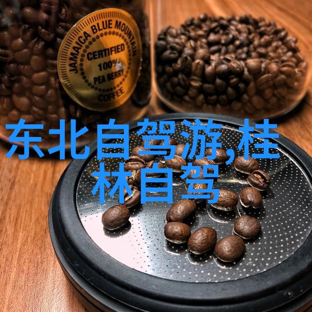 开启旅途的守护者平安保险引领自驾游新篇章