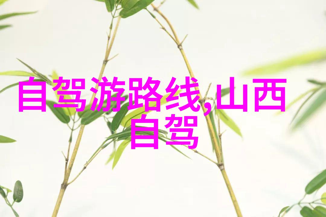 上海日结服务高效专业的上海日结解决方案