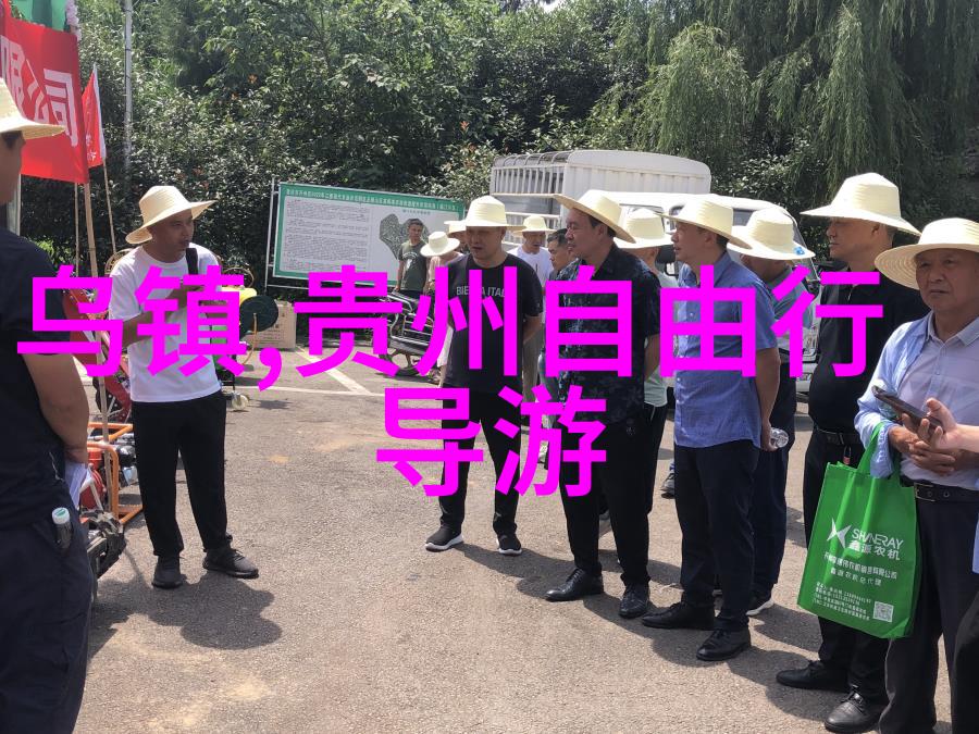 探秘华山之巅揭秘这座壮丽山脉所在的陕西省