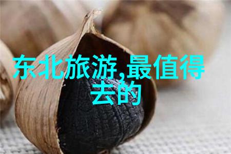 丽江古城漫步感受历史文化的深厚底蕴