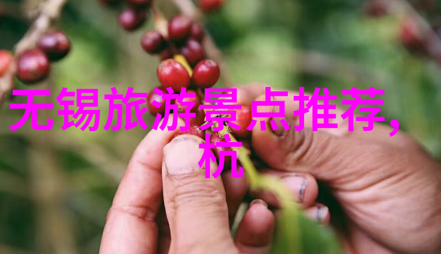 探索中国古老的武当山陕西西安的灵魂之地