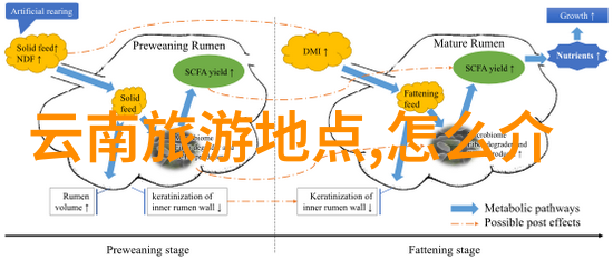 泉州美食之旅品味海上丝绸之城的美食文化