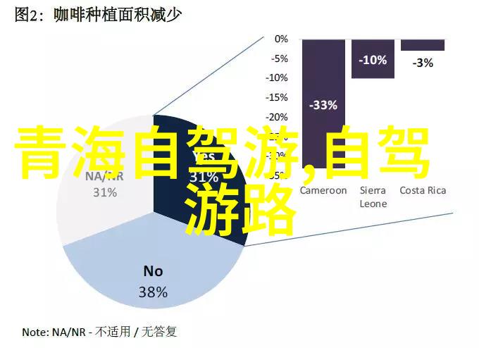 夜幕下的璀璨宝石世界最大城市光影秀吸引游客的地方在哪里