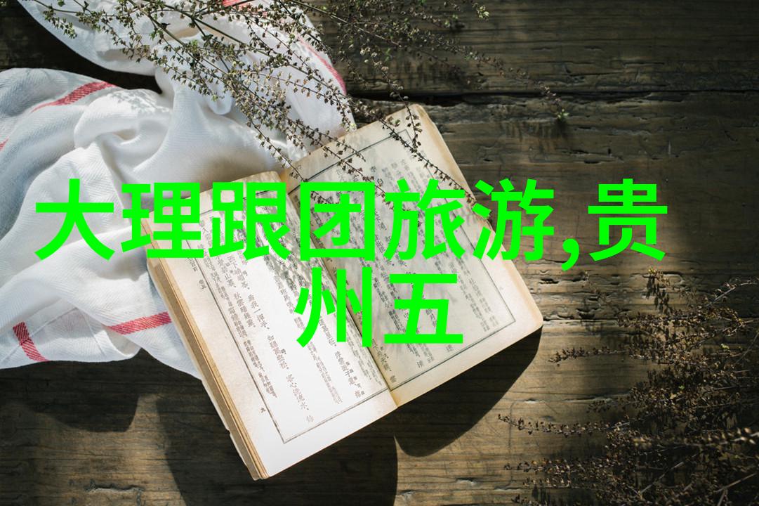 宝藏寻找游戏趣事录孩子们在公园里的快乐追逐