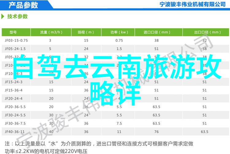 荒野求生从繁华都市到未知大漠的自驾逆袭