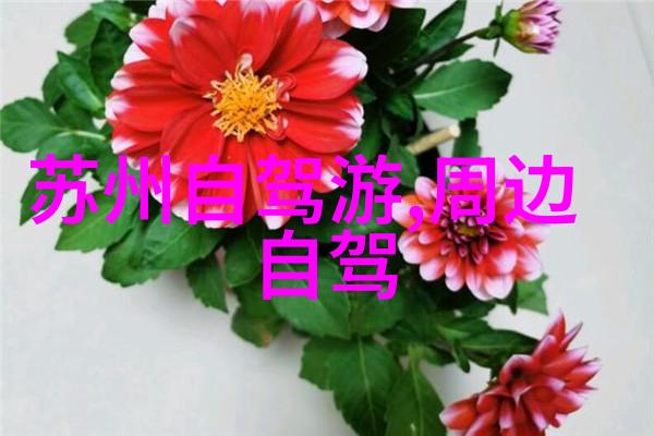 玉林市一个多民族融合的大舞台