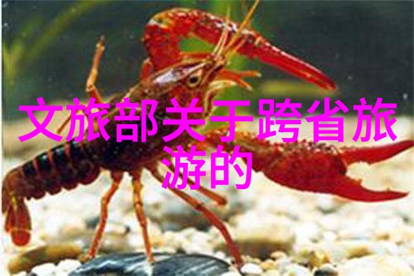 探秘奇迹之地古城墙背后的历史故事是什么