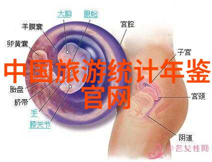 追逐皖南川藏线的秘密自驾游攻略中隐藏的迷雾与挑战