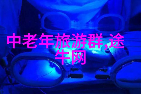 团队协同力共创卓越的团队建设活动之旅