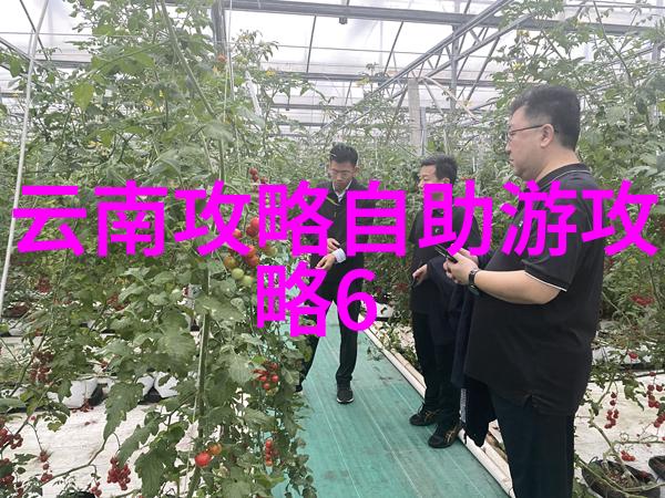 探索洛阳古韵自驾游的奇遇与心得