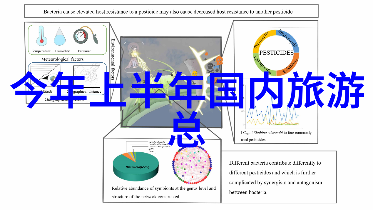 武汉周边自驾游一日游攻略武汉旅游景点自驾游