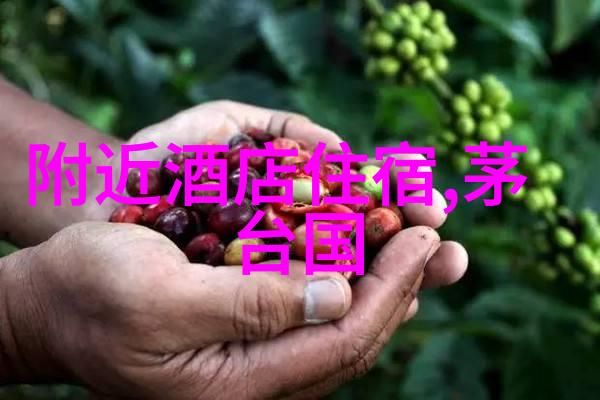 探秘异国风情纽约中央公园的春日游