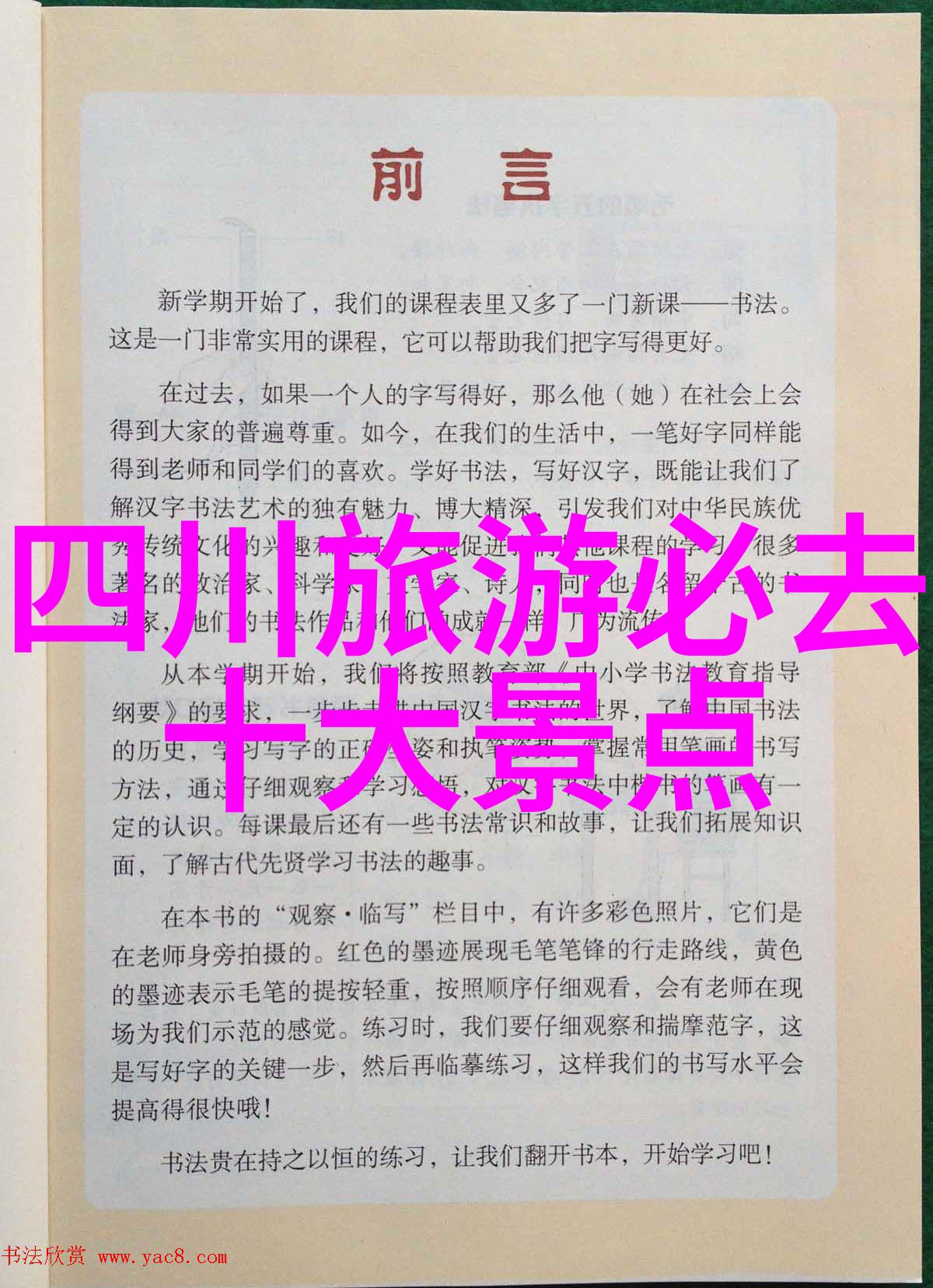 西双版纳五日游最佳攻略研究探索云南边境的文化与自然奇观