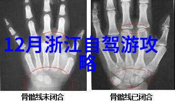 户外拓展趣味团建游戏的自然舞台