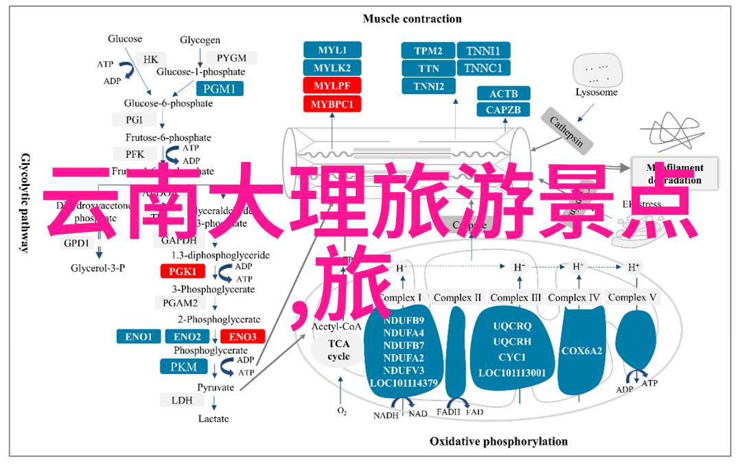 摇床又疼又叫原声长视频-婴儿的第一首歌揭秘摇床又疼又叫背后的科学