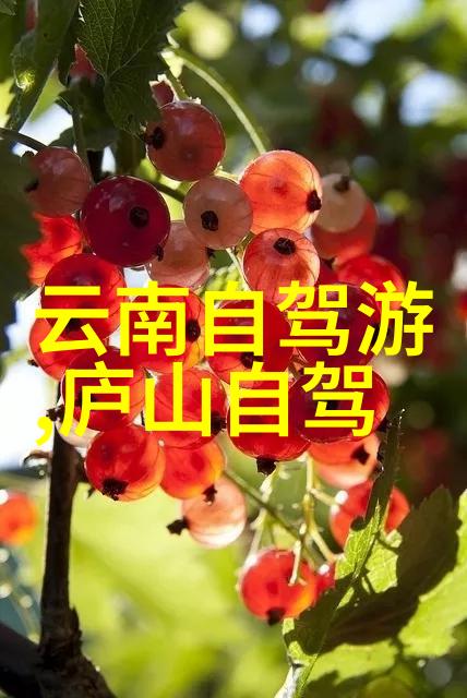 仙剑奇侠传三紫萱我的传奇之旅在此始终