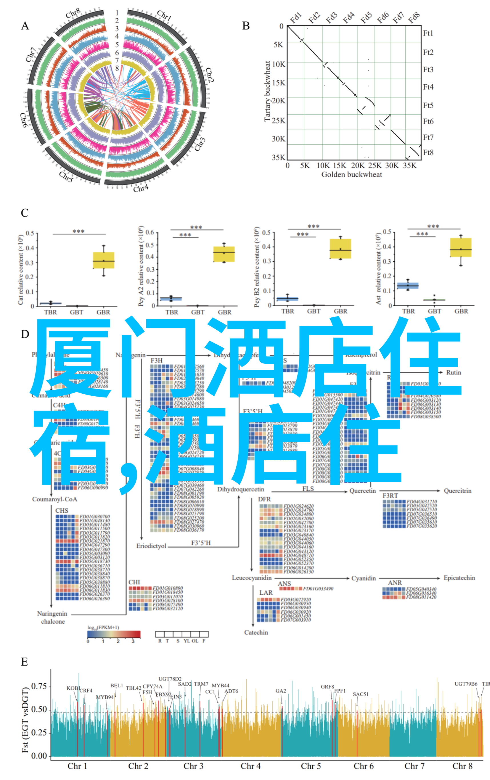 夜幕下的监视揭秘JEALOUSVUE熟睡APP的神秘面纱