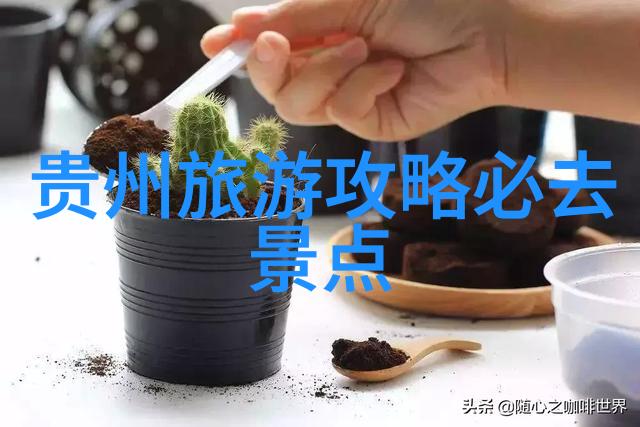 南京哪里的小吃最正宗我去找老街的味道了