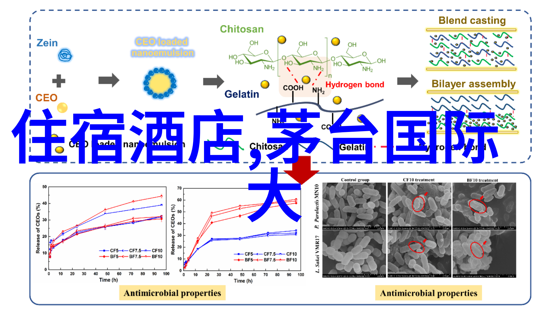 美国提供哪些奖学金支持国际学生的教育费用